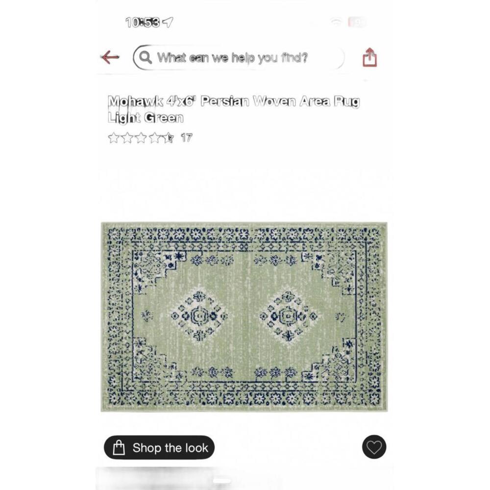 Mohawk 4'x6' Persian Woven Area Rug Light Green